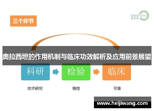奥拉西坦的作用机制与临床功效解析及应用前景展望