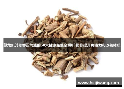 尊龙凯时藿香正气液的30大健康益处全解析 助你提升免疫力和改善体质