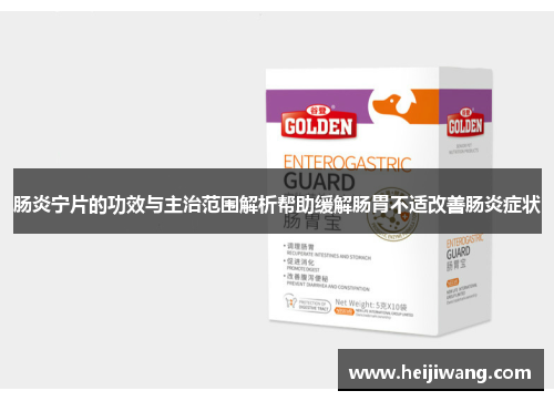 肠炎宁片的功效与主治范围解析帮助缓解肠胃不适改善肠炎症状