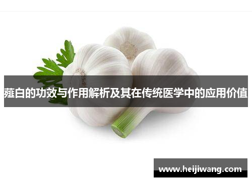 薤白的功效与作用解析及其在传统医学中的应用价值