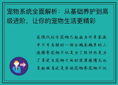宠物系统全面解析：从基础养护到高级进阶，让你的宠物生活更精彩
